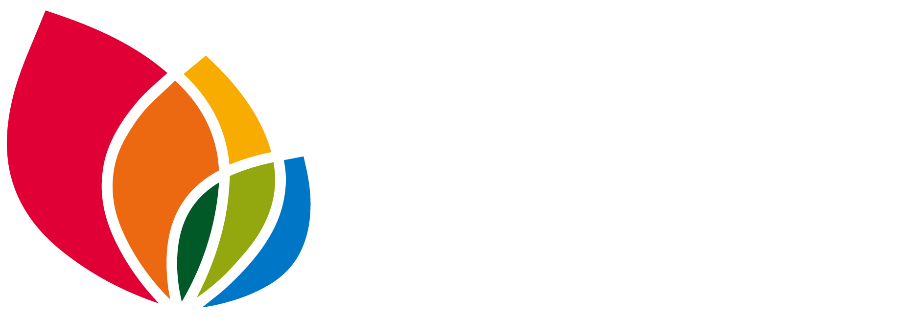 Biochar Chile Logo