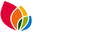 Biochar Chile Logo